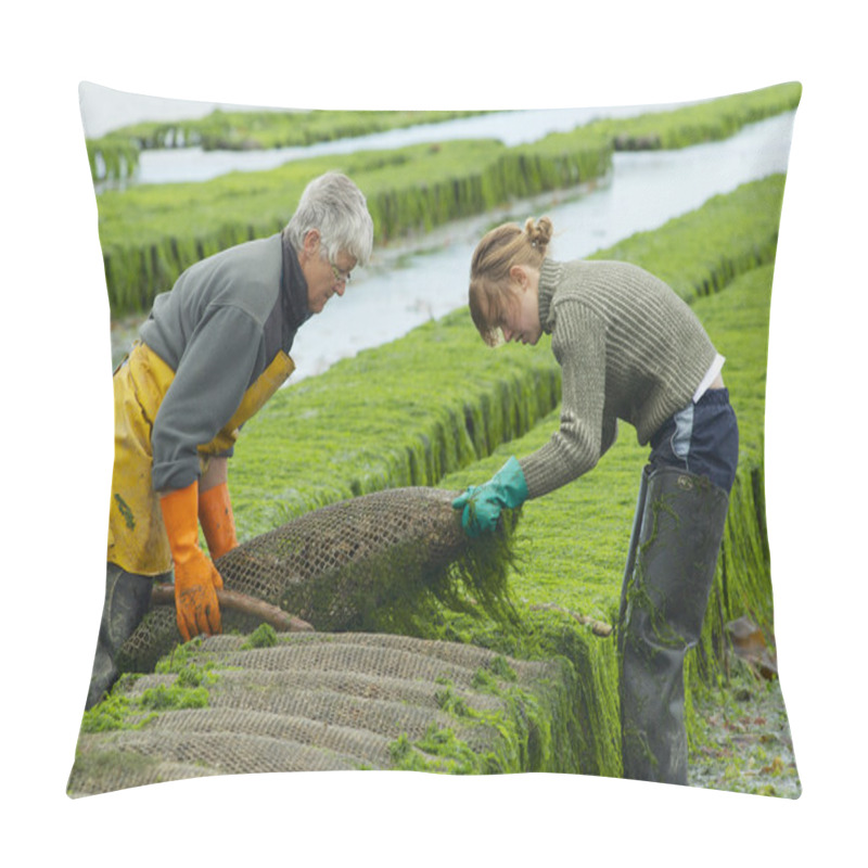 Personality  Farmers Work At Oyster Farm At Low Tide In Grandcamp-Maisy, France. Pillow Covers