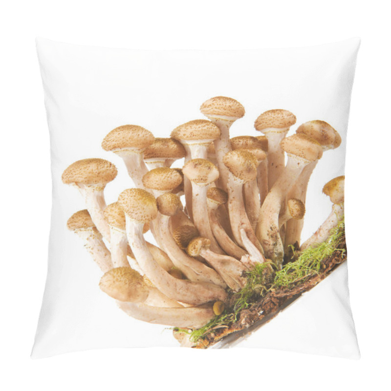 Personality  Armillaria Ostoyae ( Honey Mushroom Or Shoestring Rot ) Pillow Covers