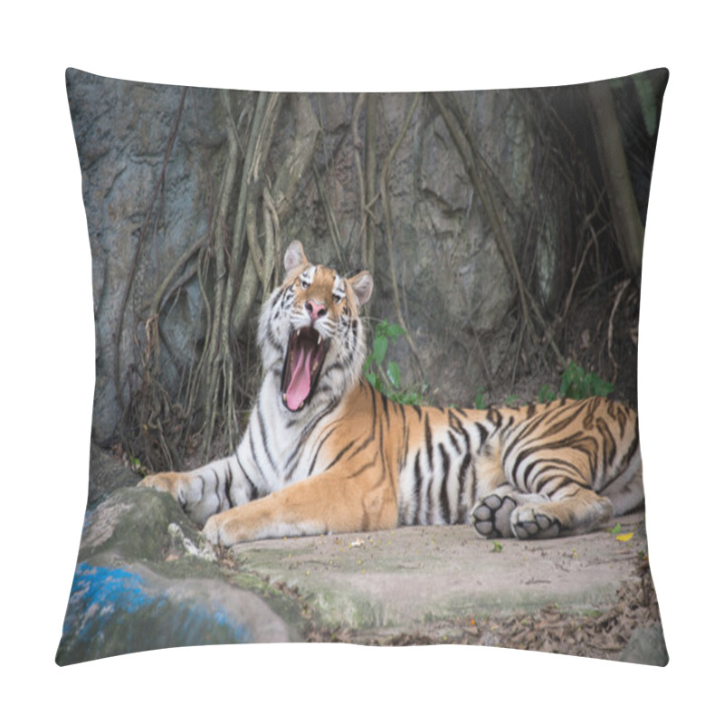 Personality  Bengal Tiger Pillow Covers