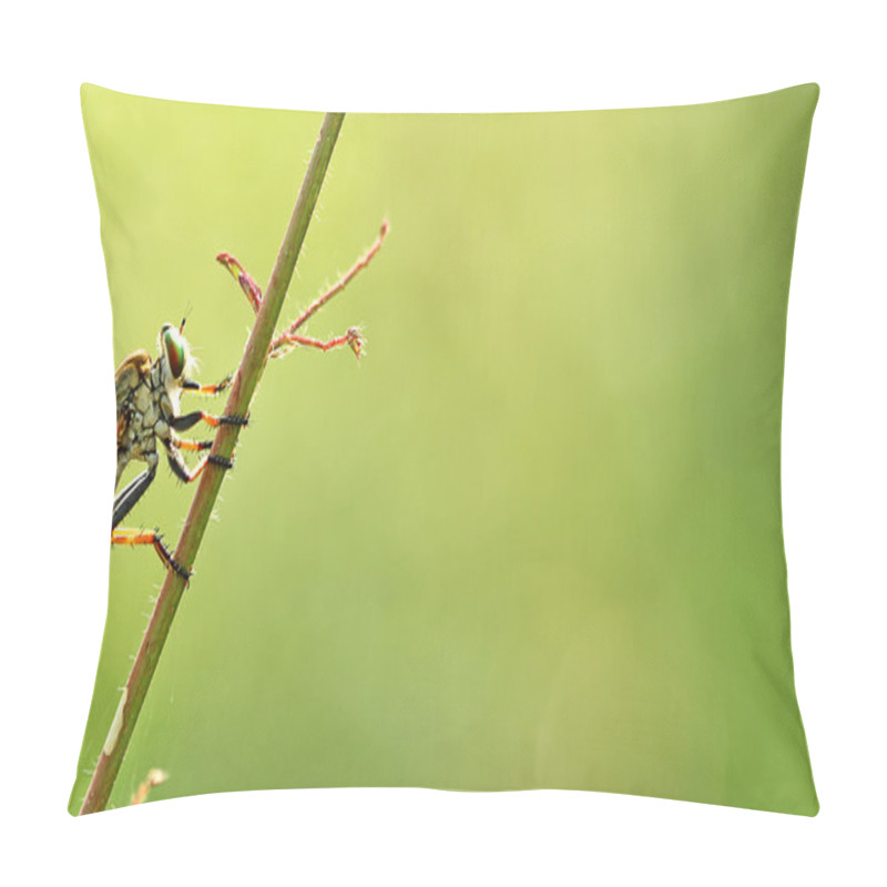 Personality  Macro Photography Pillow Covers