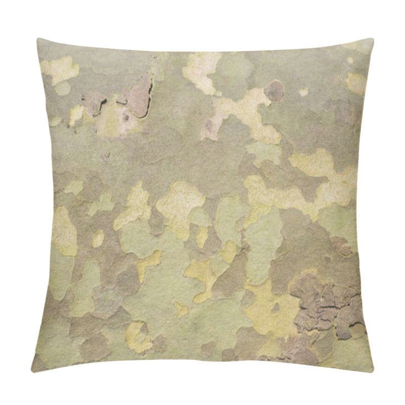 Personality  Texture Of The Bark Of The Plane Tree. Yellow, Green And Brown Colored Texture. For Background Pillow Covers