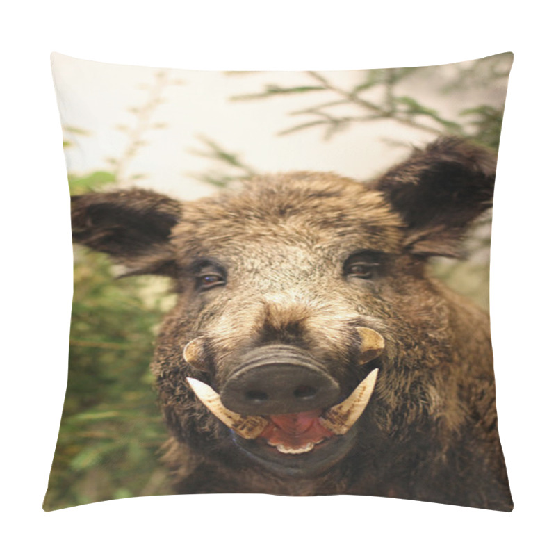 Personality  Wild Boar Of Collini Of Tuscany In Italy Pillow Covers