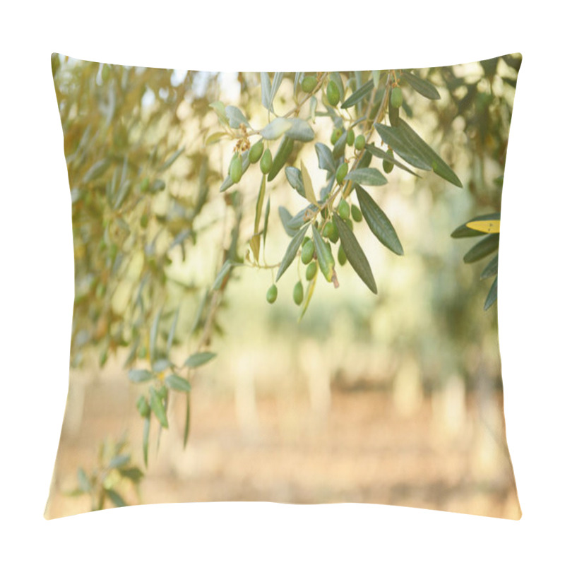 Personality  Green Olive Garden Pillow Covers