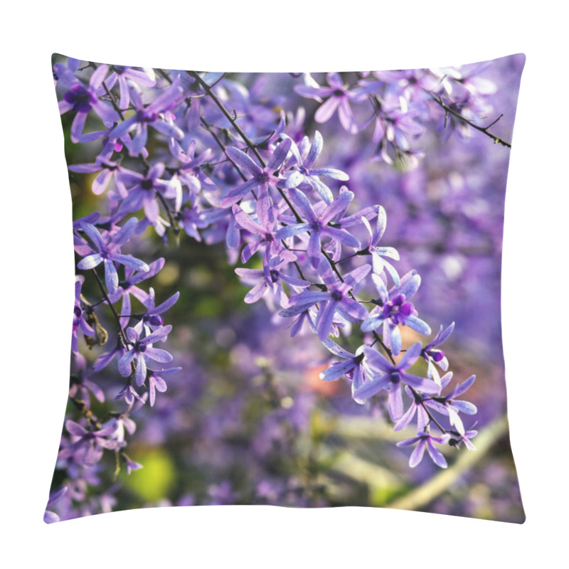 Personality  Petrea Volubilis Is Also Known As Purple Wreath, Queen's Wreath, Or Sandpaper Vine. A Flowering Evergreen That Prefers Full Sun. Pillow Covers