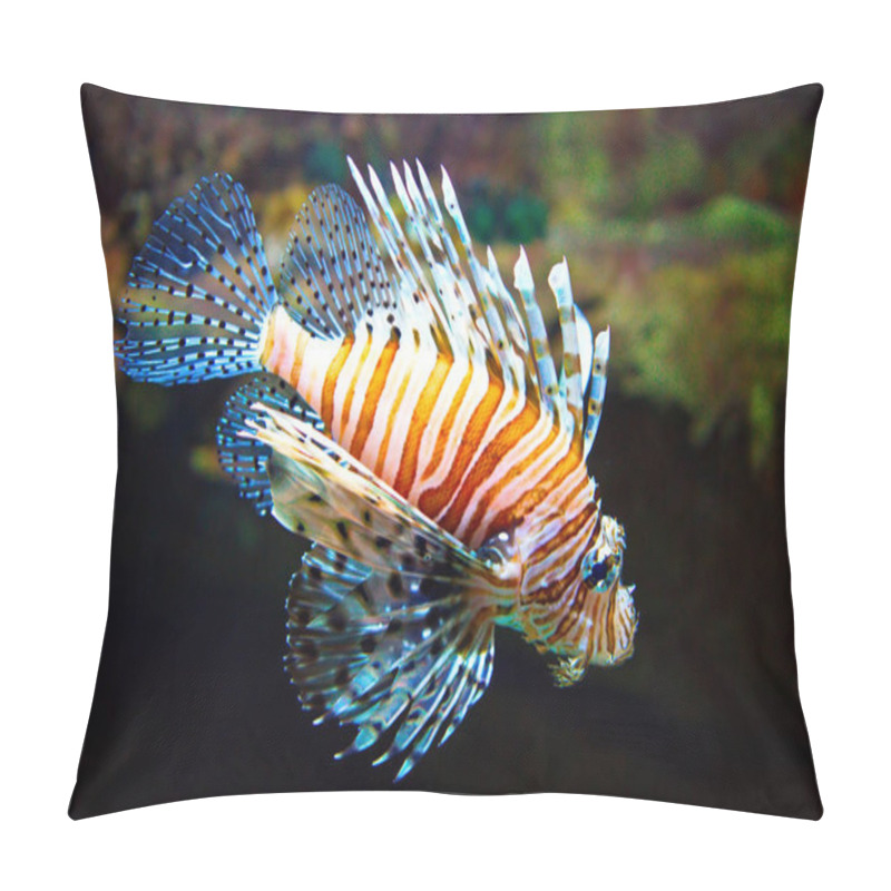 Personality  Poisonous Lionfish. Pterois Volitans. Pillow Covers