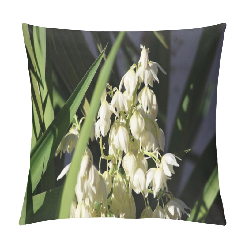 Personality  Blooms Of Yucca Gloriosa Plant Pillow Covers