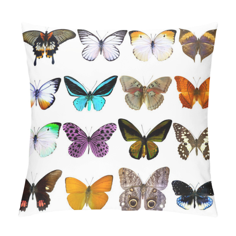 Personality  Collection Of Beautiful Tropical Butterflies Isolated On White Background Pillow Covers