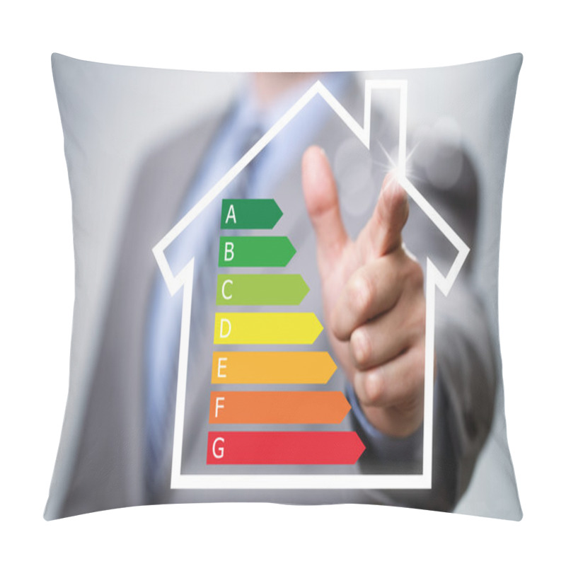 Personality  Energy Efficiency In The Home Pillow Covers