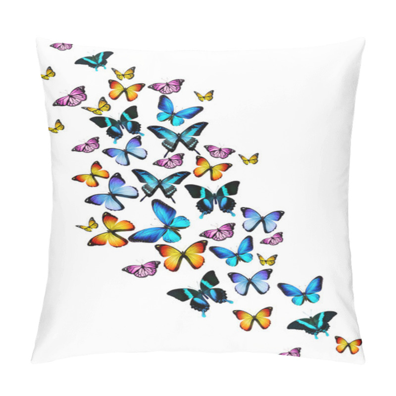 Personality  Many Different Butterflies Flying Pillow Covers