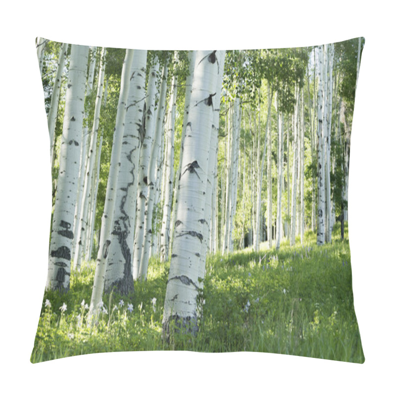 Personality  Grove Of Aspen Trees Pillow Covers