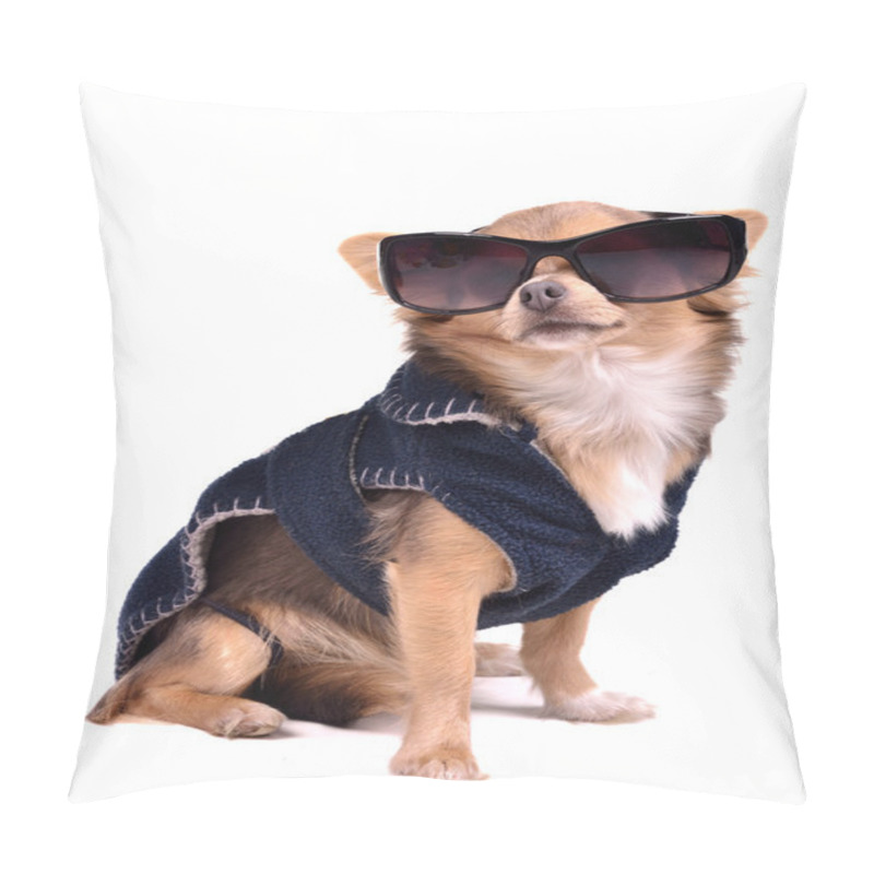 Personality  Serious Little Dog Wearing Dark Blue Jacket And Black Sunglasses Pillow Covers