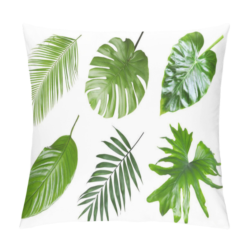 Personality  Set With Beautiful Fern And Other Tropical Leaves On White Background  Pillow Covers