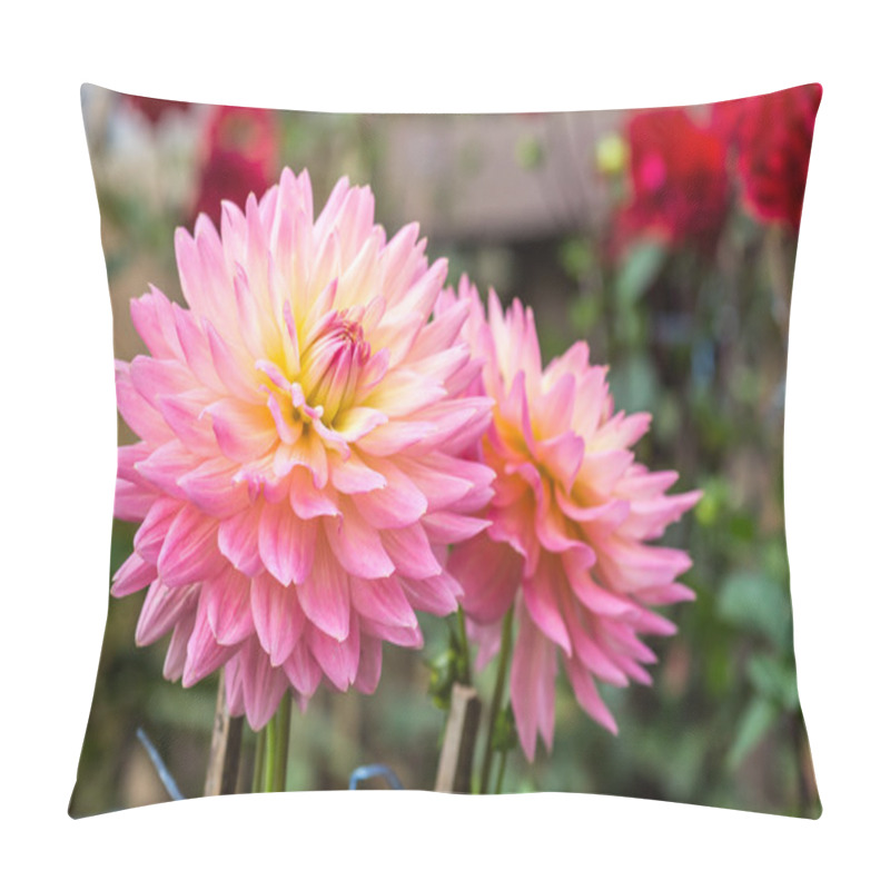 Personality  The Dahlia Flower Pillow Covers