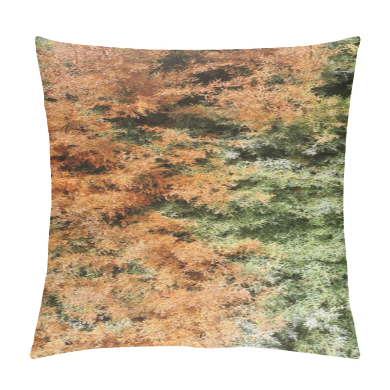 Personality  Arizona Plant With Green And Dry Parts Pillow Covers