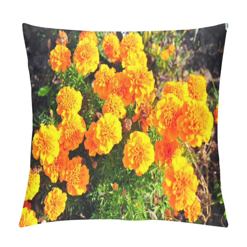 Personality  Marigold Bright Flowers With Green Leaves In The Garden. Flowers Close Up, Growing, Top View. Bright Marigold Flowers From Above. Flora Design, Flower Background, Garden Flowers. Flowers No People. Pillow Covers