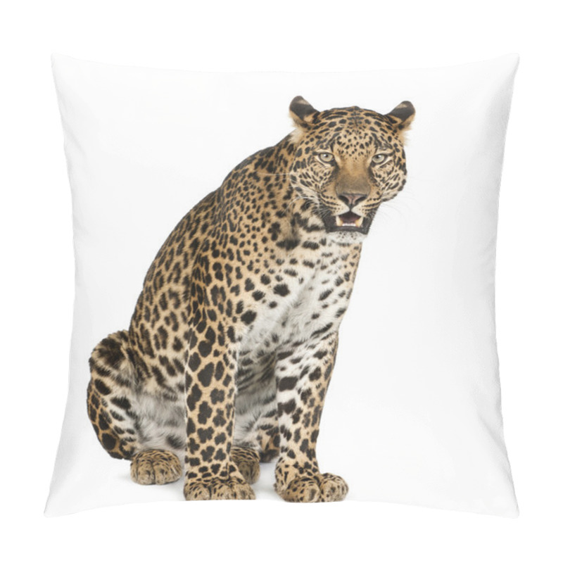 Personality  Leopard Sitting, Roaring, Panthera Pardus Pillow Covers