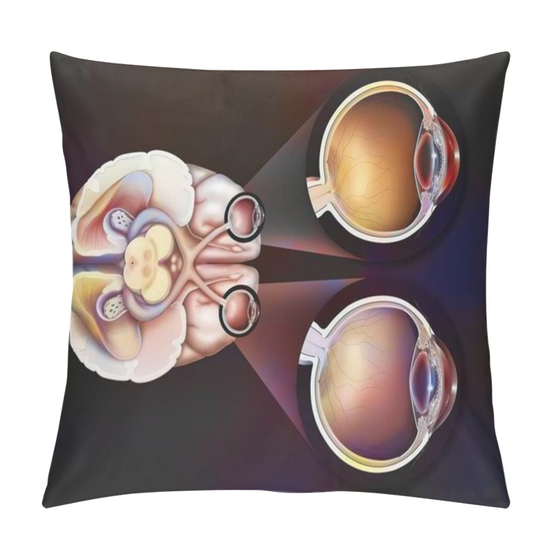 Personality  Eye: Path Of The Visual Pathways From The Eye To The Visual Areas Of The Brain. Pillow Covers