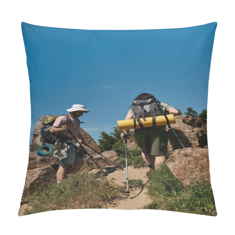 Personality  A Young Gay Couple Hikes Through A Scenic Wilderness Area On A Sunny Summer Day. Pillow Covers