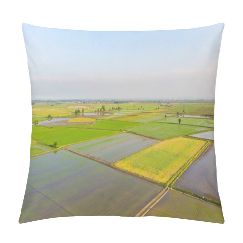 Personality  Aerial: Rice Paddies, Flooded Cultivated Fields Farmland Rural Italian Countryside, Agriculture Occupation, Sprintime In Piedmont, Italy Pillow Covers