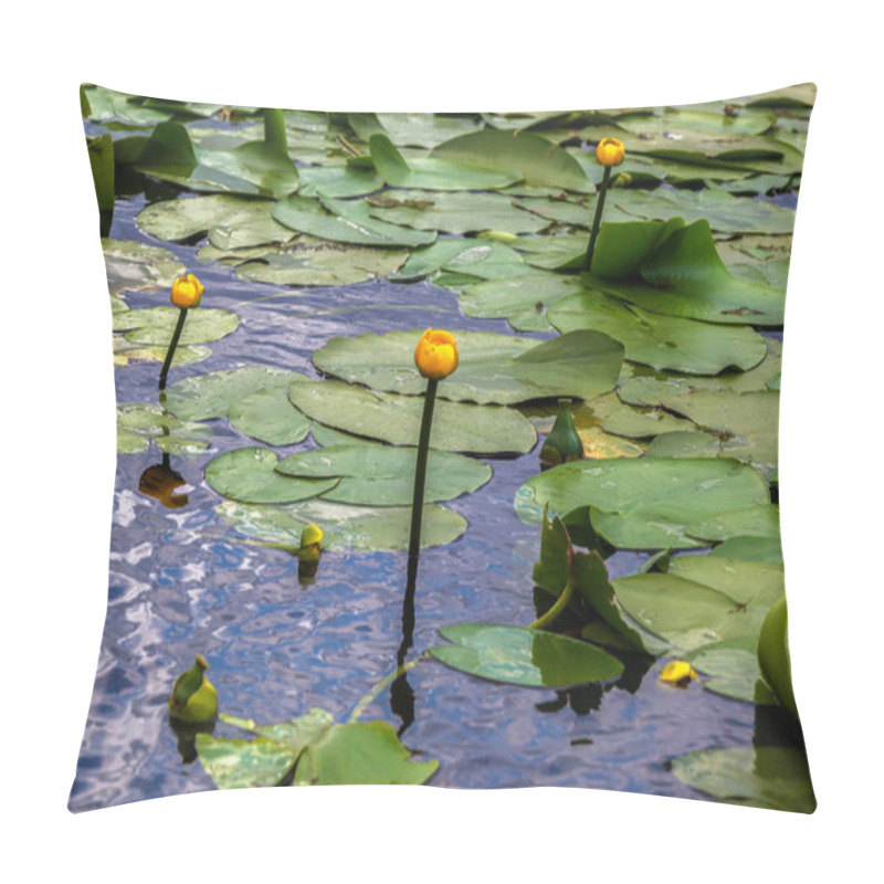 Personality  Water Lilies In The Danube Delta, Romania. Pillow Covers