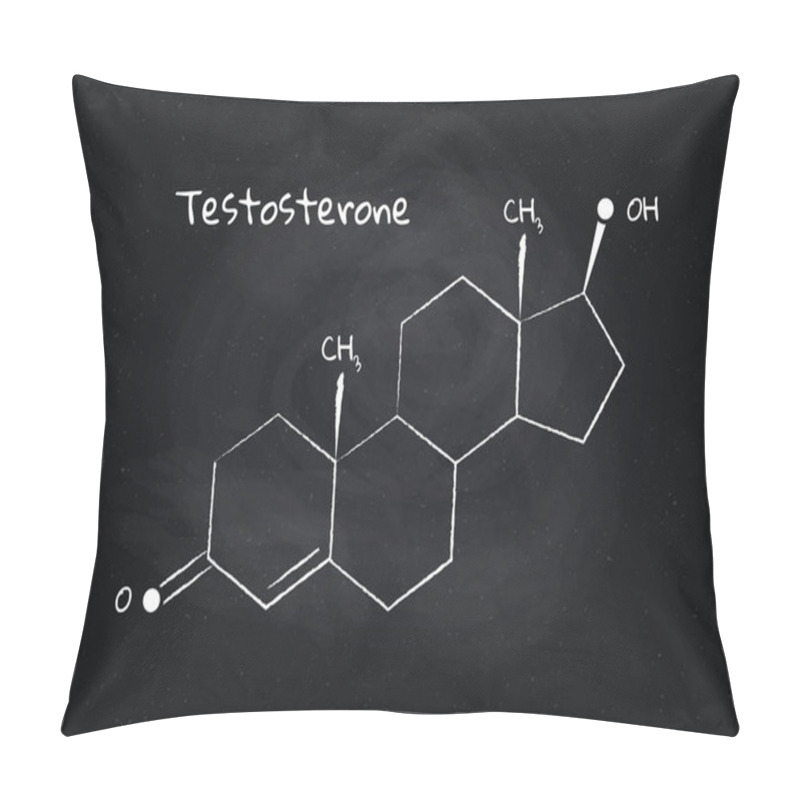 Personality  Vector Testosterone Structure Banner Illustration. Hormone Associated With Aggression, Sex, Growth, Reproduction. White Chalk Lines Isolated On Board Background. Design Element For Pharma, Medical. Pillow Covers