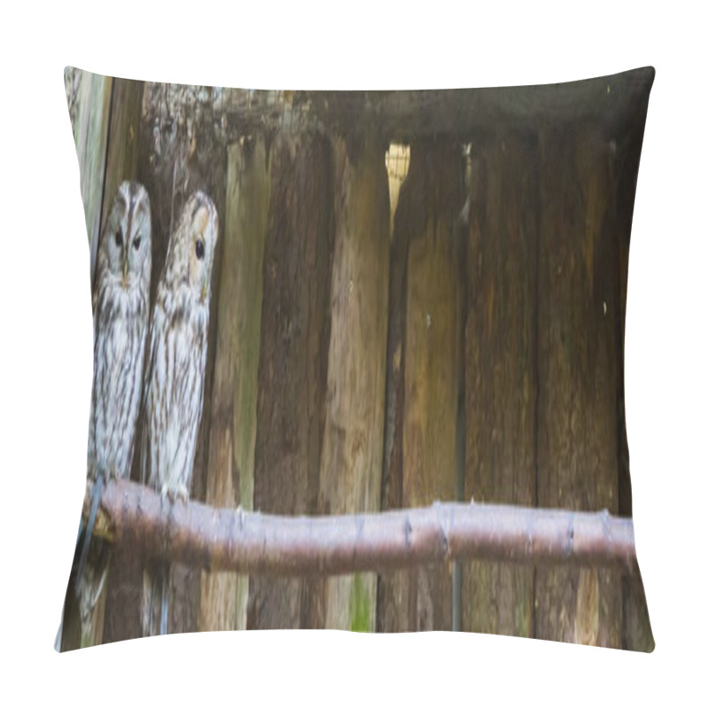 Personality  Banner Of Two Ural Owls Sitting Close Together In A Corner On A Branch Pillow Covers