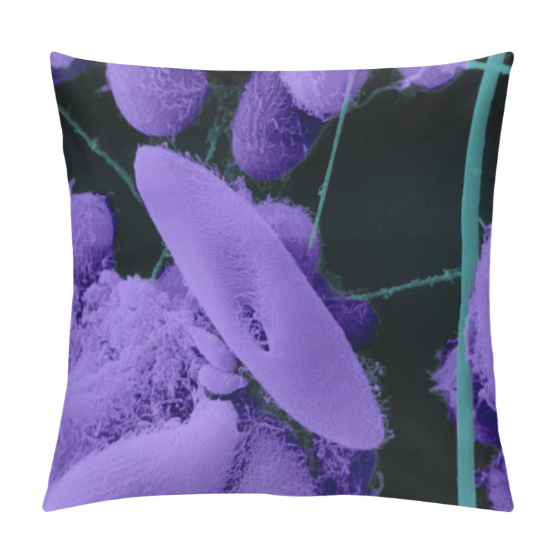 Personality  Unicellular under microscope pillow covers