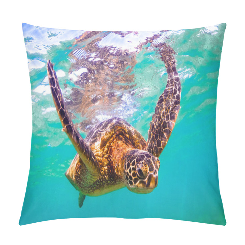 Personality  Hawaiian Green Sea Turtle Cruising The Warm Waters Of The Pacific Ocean In Hawaii Pillow Covers