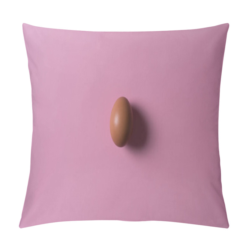 Personality  Minimalism. One Rustic Egg On Light Ultraviolet Background Pillow Covers