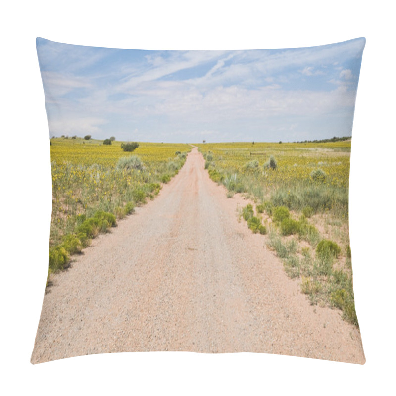 Personality  Dirt Road Pillow Covers