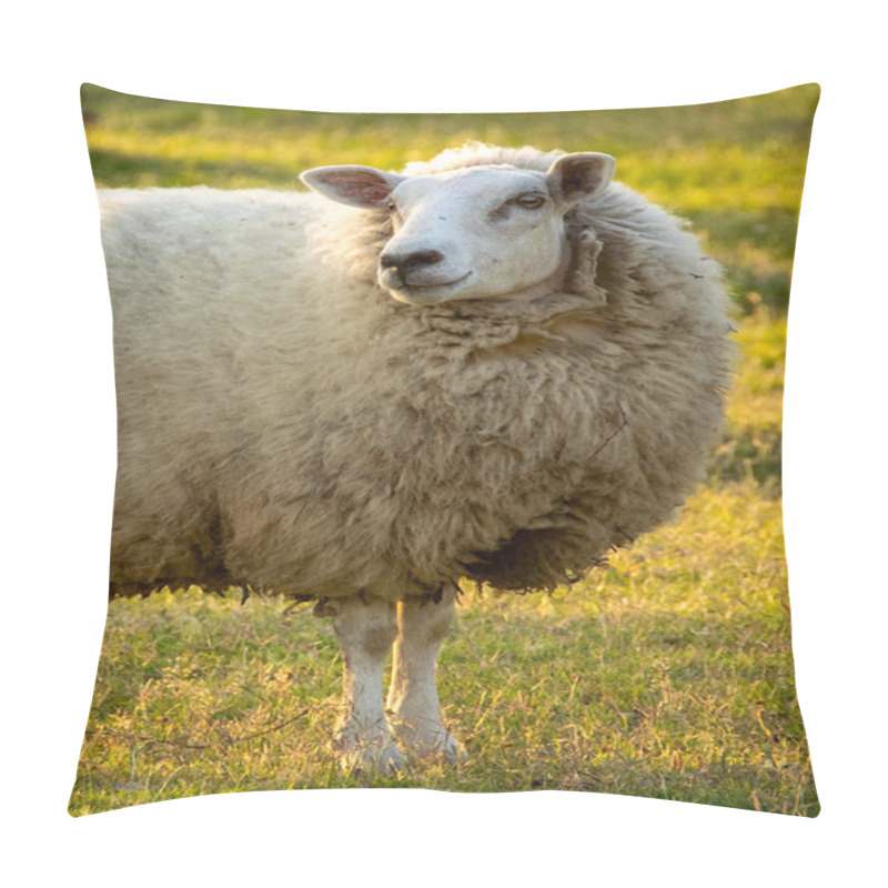 Personality  Free Sheep At Gallery Forest Near Santa Lucia River At Los Cerrillos, Canelones, Uruguay Pillow Covers