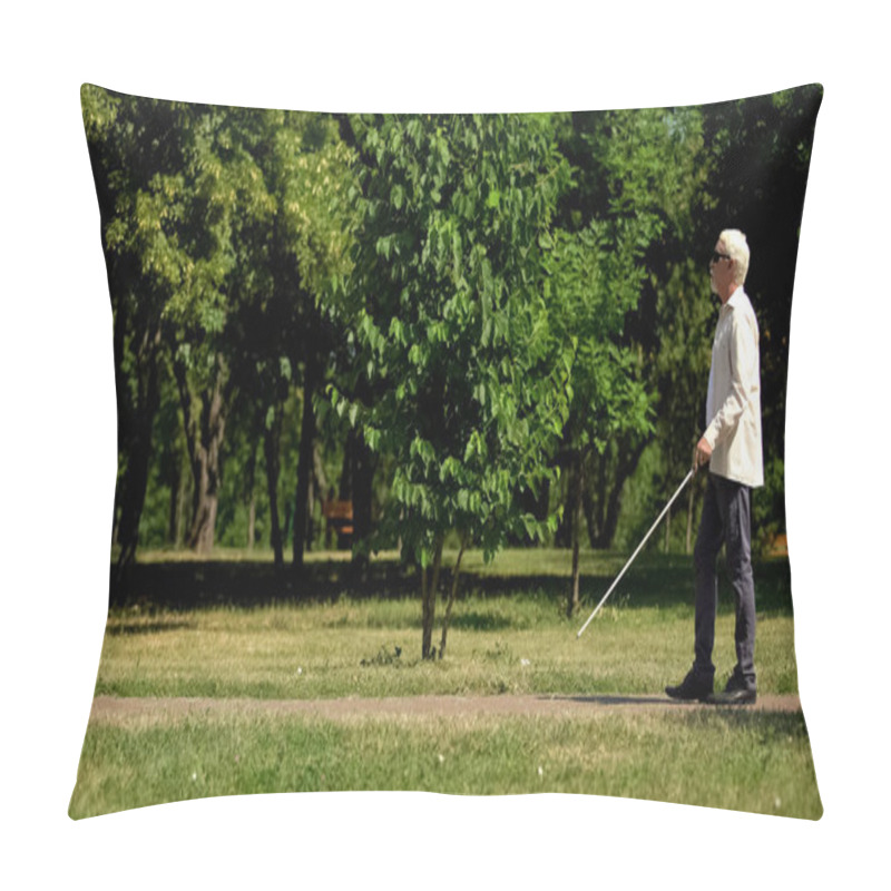 Personality  Blind Pensioner Safely Navigate Using White Cane, Walking Independent In Park Pillow Covers