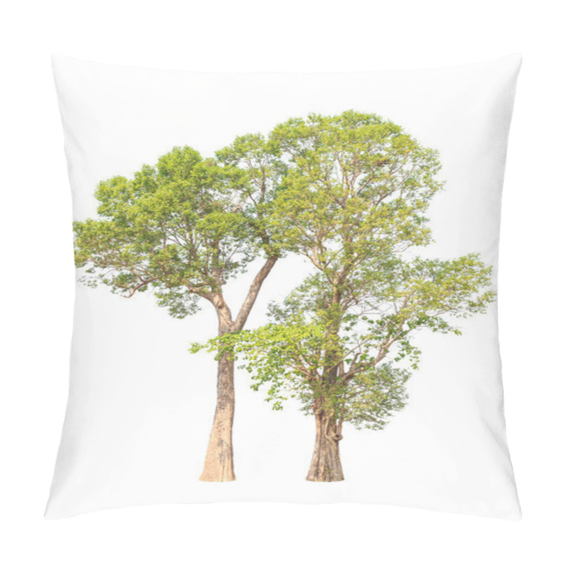 Personality  Irvingia Malayana Also Known As Wild Almond, Two Tropical Trees Pillow Covers