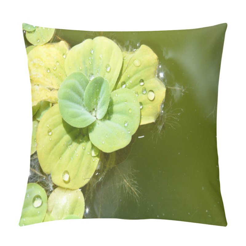 Personality  Pond Plants Pillow Covers