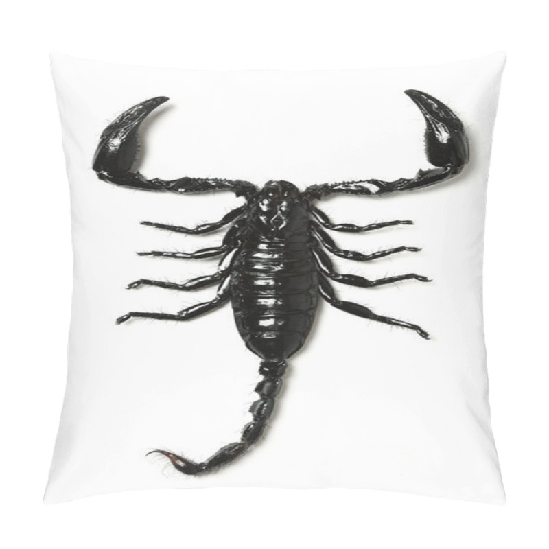 Personality  Scorpion Pillow Covers