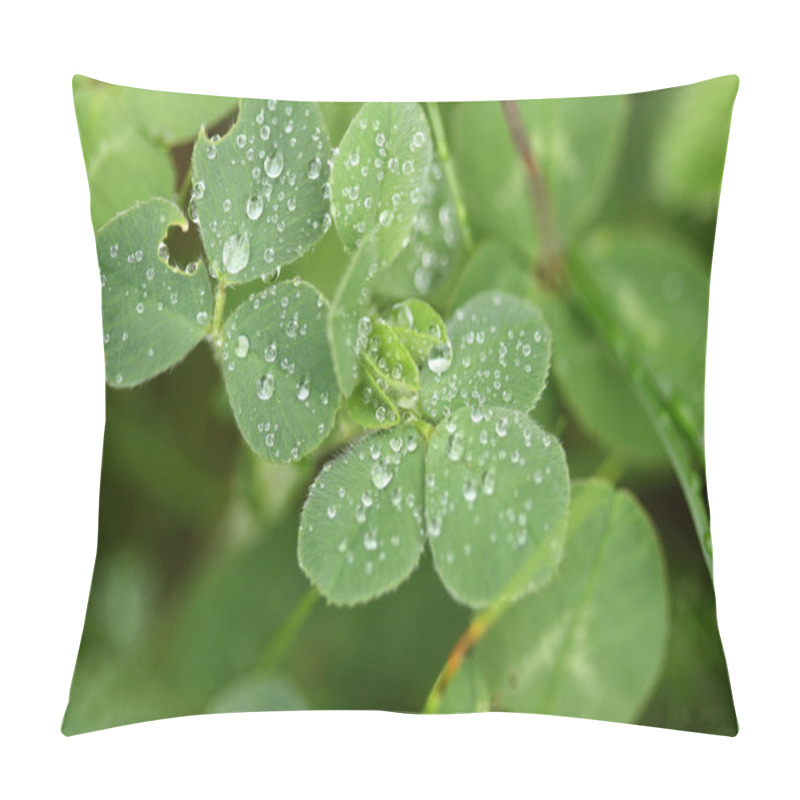 Personality  Clover With Water Drops Pillow Covers