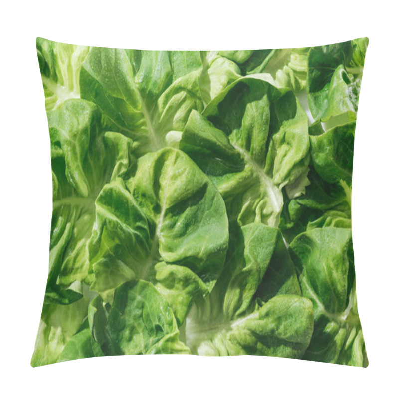 Personality  Close Up View Of Fresh Natural Wet Green Lettuce Leaves With Water Drops Pillow Covers