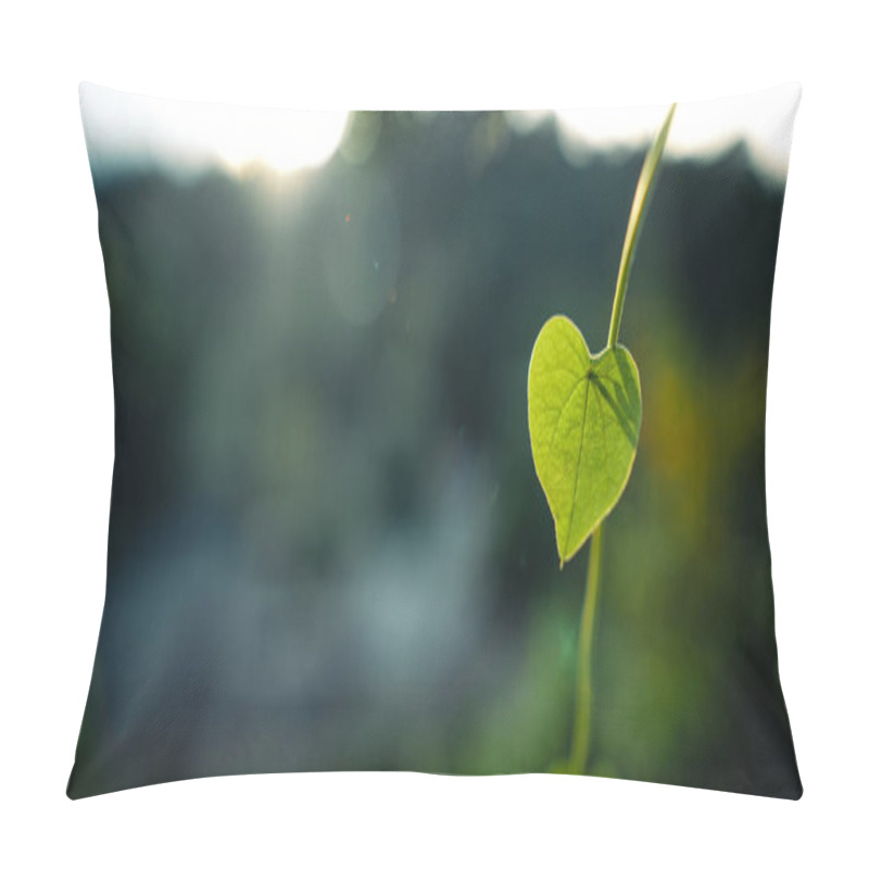 Personality  Green Heart Leaf In Nature Background Pillow Covers