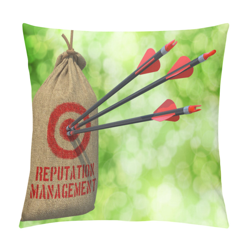 Personality  Reputation Management - Arrows Hit Target. Pillow Covers