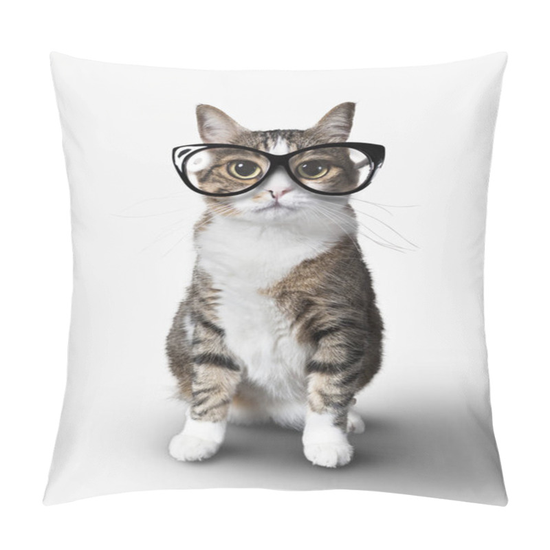 Personality  Domestic Cat With Eyeglasses. Pillow Covers