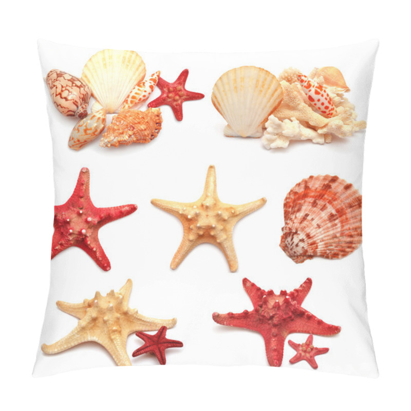 Personality  Collection Of Sea Stars, Shells And Coral  Pillow Covers