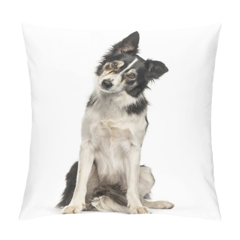 Personality  Border Collie Sitting In Front Of White Background Pillow Covers