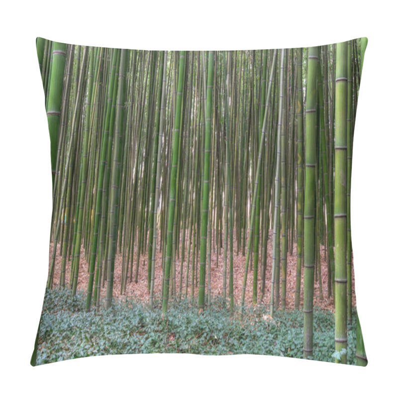 Personality  Simnidaebat Bamboo Forest. The Famous Bamboo Forest In Ulsan Taehwagang River Grand Park Has An Extensive Bamboo Field Covering The Area Between Taehwa Bridge And Samho Bridge. Ulsan, South Korea Pillow Covers