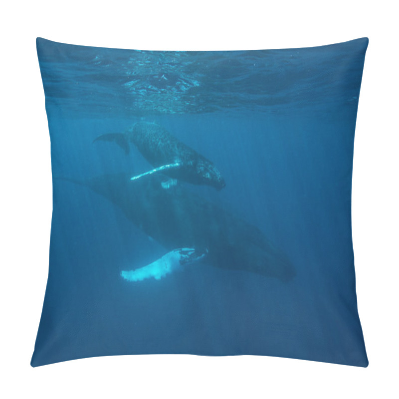 Personality  Humpback Whales  In The Ocean. Pillow Covers