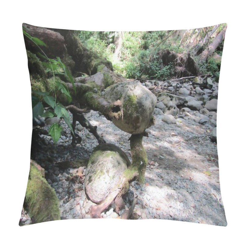 Personality  Exposed Tree Roots Holding Large Rock. Kanaka Creek Regional Park, Maple Ridge, British Columbia, Canada Pillow Covers