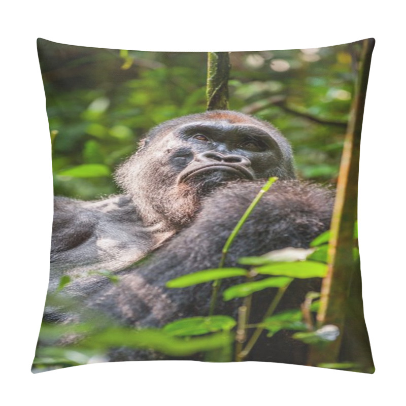 Personality  Portrait Of A Western Lowland Gorilla Pillow Covers