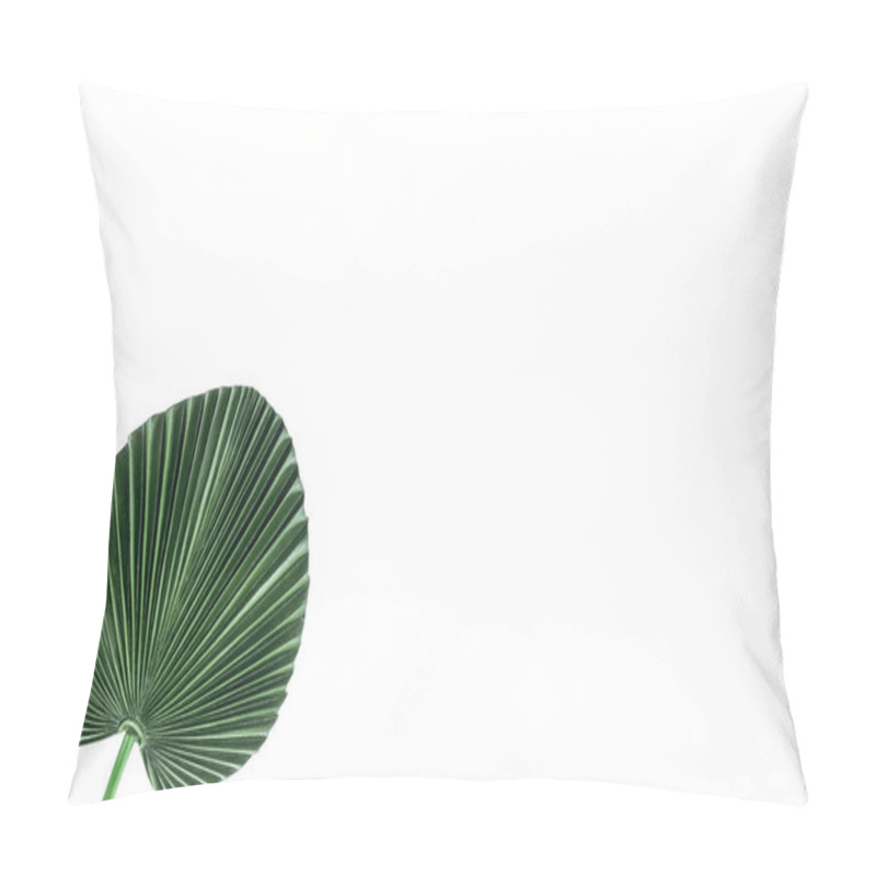 Personality  Elevated View Of Beautiful Green Palm Leaf Isolated On White, Minimalistic Concept  Pillow Covers