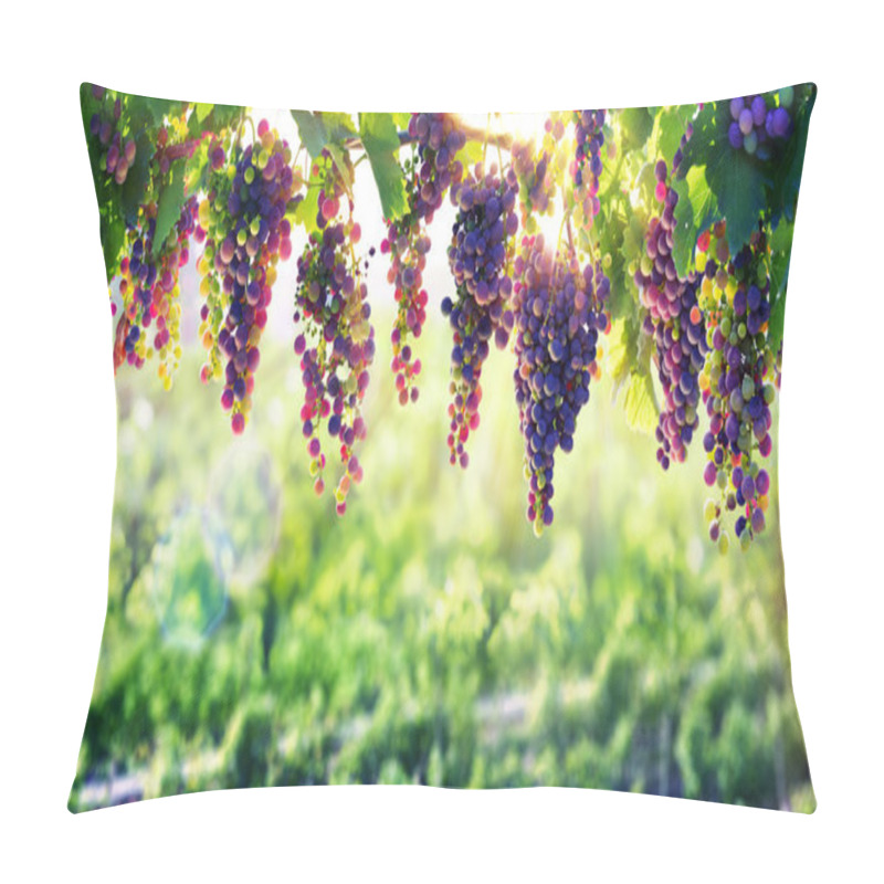 Personality  Viticulture The Sun That Ripens The Grapes Pillow Covers