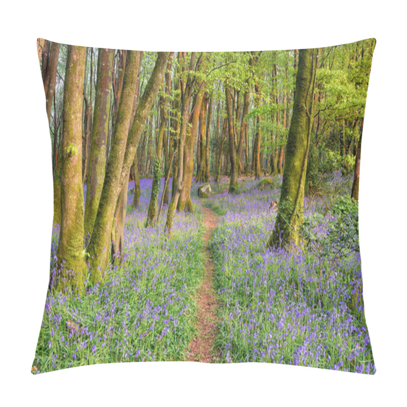 Personality  Bluebell Woods In Cornwall Pillow Covers