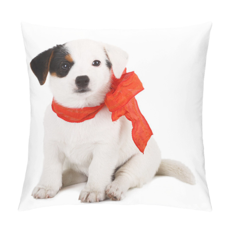 Personality  Jack Russell Puppy Pillow Covers